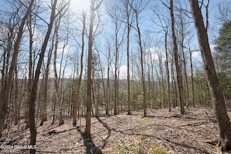 L11.6B Rossman Valley Rd, Summit, NY 12175