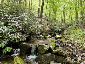 Lot 1C Cottonwood Rd, Bear Rocks, PA 15610