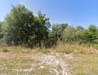 2324 W Aleuts Dr, Beverly Hills, FL 34465