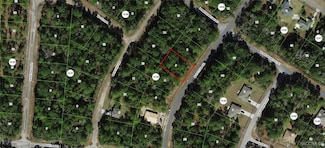 10834 N Haitian Dr, Citrus Springs, FL 34434