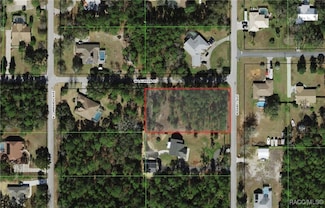 1420 N Rabeck Ave, Lecanto, FL 34461