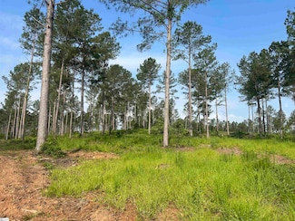 301 Berry Rd, Pelzer, SC 29669