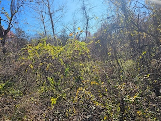 000 Spruce Ave, Merriam Woods, MO 65740
