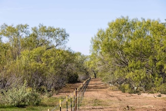 0 County Road 4201, Pearsall, TX 78061
