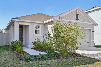 16942 Trite Bend St, Wimauma, FL 33598