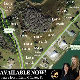 2 Outlaw Way, Land O' Lakes, FL 34639