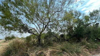 TBD Cr 3420 Lot 11 Blk 6, Pearsall, TX 78061