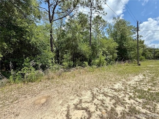 8445 N Foresome Way, Citrus Springs, FL 34434