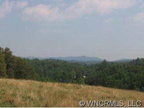 0000 Snelson Rd, Alexander, NC 28701