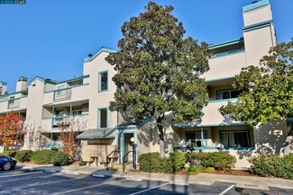 1430 Bel Air Dr Unit 210, Concord, CA 94521