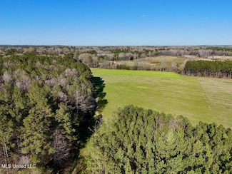 0010 Stump Bridge Rd, Canton, MS 39046