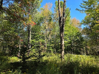 Lot 9 McDonald Rd Unit 9, Steuben, NY 13438