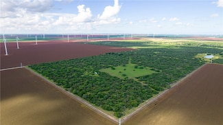 0 Cr 59 South of Fm 70 Unit 385060, Bishop, TX 78343