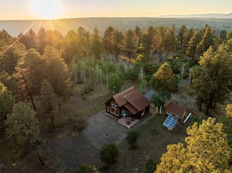 150 W Piney Woods Way, Placerville, CO 81430