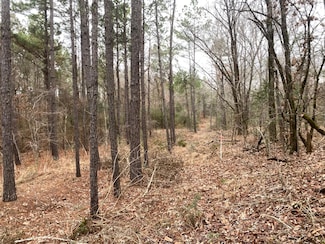 0 County Road 379, Palestine, TX 75801