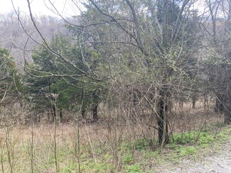 0 Rutherford Ln Unit RTC2671115, Smithville, TN 37166