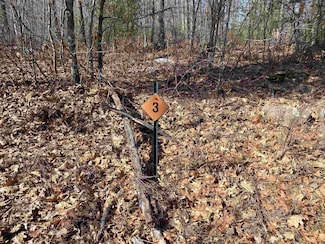 Lots 3, 5, 6 Acorn Ridge Rd, Mosinee, WI 54455