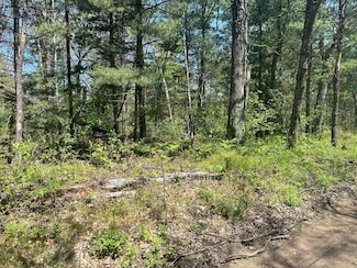 00 W Bishop, Pleasant Plains Township, MI 49642