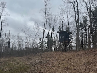 0 Fire Tower Rd Unit LotWP001 23171567, Mehoopany, PA 18629