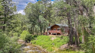 17755 County Road 291, Nathrop, CO 81236