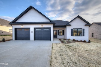 261 Ruby Rose Ridge, Jonesborough, TN 37659