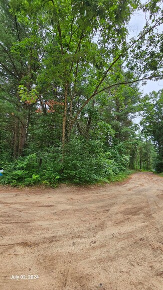 194 & 195 Saginaw Trail, Reynolds Township, MI 49329