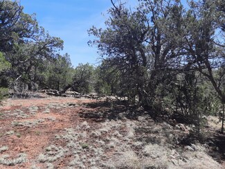 Lot 309 Forest Acres, Seligman, AZ 86337