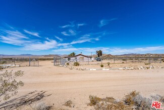 52020 Joshua Tree Rd, Johnson Valley, CA 92285