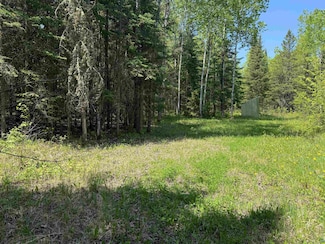 TBD County Rd Unit 526, Nashwauk, MN 55769