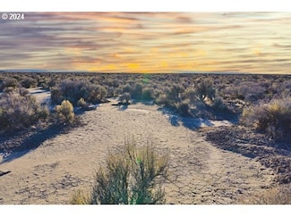 0 Buffalo Wells Rd Unit TL2410 24613244, Christmas Valley, OR 97641