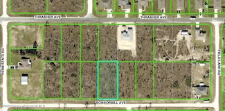 0 Scissorbill Ave, Brooksville, FL 34614