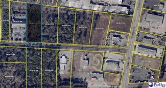 1818 Sally Hill Farms Blvd, Florence, SC 29501