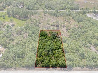 7467 Alloy St, Webster, FL 33597