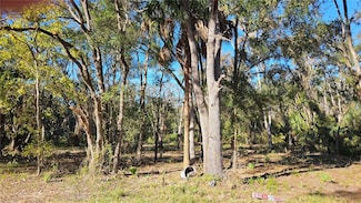 8177 W Catrina Ln, Crystal River, FL 34428