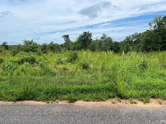 TBD Brown Town Rd, Brodnax, VA 23920