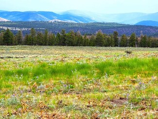 1092 Cinammon Trail, Powderhorn, CO 81243