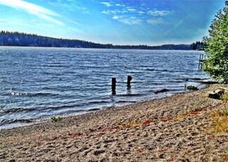 3500 E Mason Lake Dr W, Grapeview, WA 98546