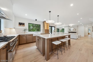 338 Old Short Hills Rd, Short Hills, NJ 07078