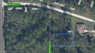9742 Coppertree Ct, Sebring, FL 33872