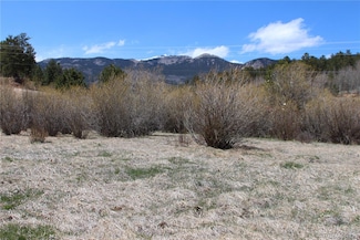 189 Moore St, Bailey, CO 80421