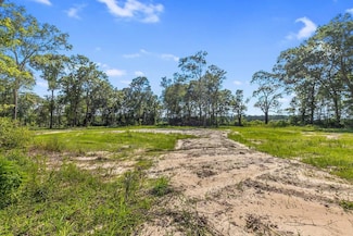 0 Bob Long Rd, Ragley, LA 70657