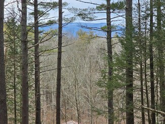0 Mossy Hill Rd Unit 151615, Catskill, NY 12414