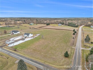 Parcel B Johnson St, Marne, MI 49435