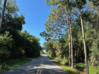 0 Dog Leg Trail, Osteen, FL 32764