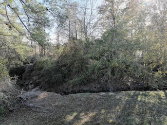 1412 N River Rd, Denham Springs, LA 70726