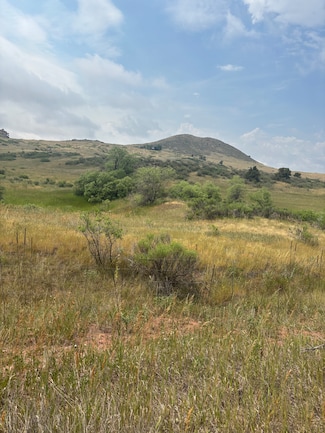 124 Springs Ranch Rd, Laporte, CO 80535