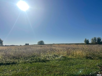 Lot 90 Kyle Ct, Metamora, IL 61548