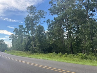0 George Ford Rd Unit 183575, Carriere, MS 39426