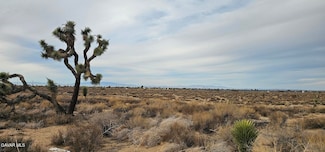 0 Avenue L4 23rd St E Unit 25008152, Palmdale, CA 93550