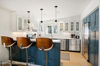 805 E Cooper Ave Unit 12, Aspen, CO 81611